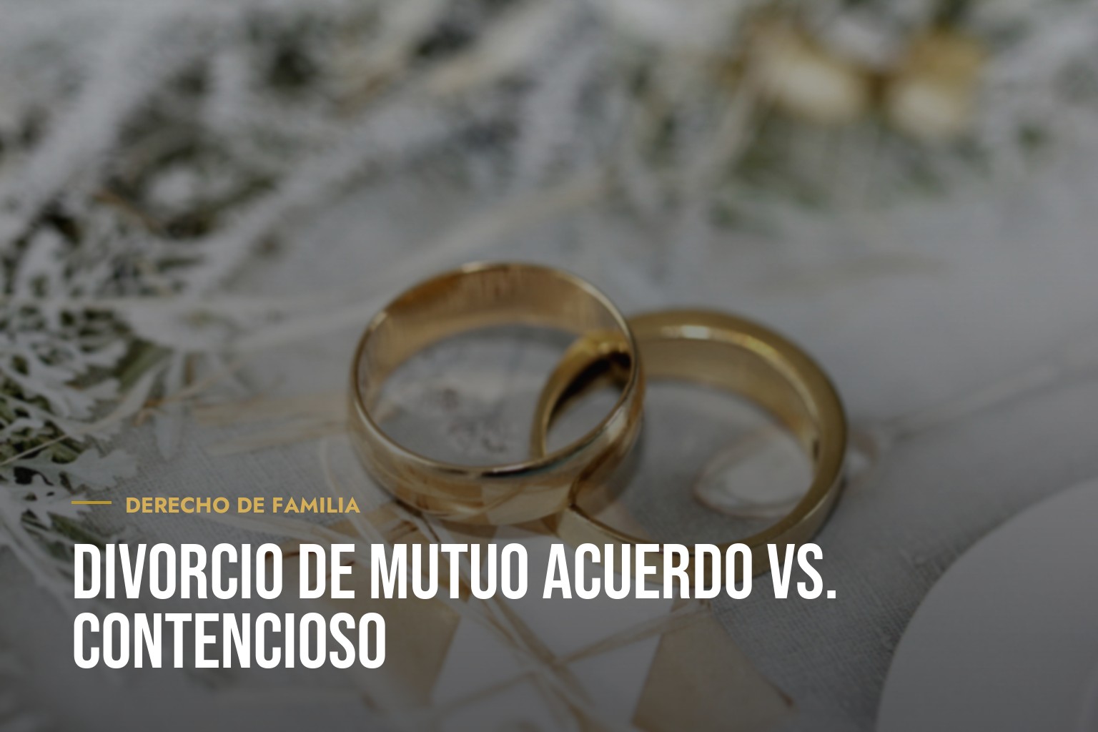 DIVORCIO DE MUTUO ACUERDO VS. CONTENCIOSO: Diferencias, Plazos y Costes